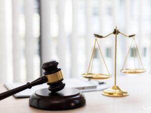 Peter Michael Law: A Comprehensive Insight